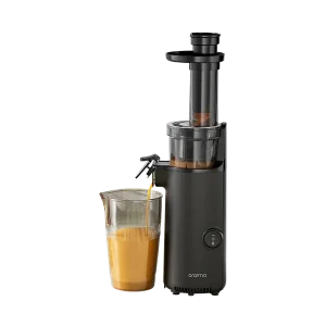 Mini Portable Slow Juicer