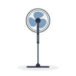 Fans