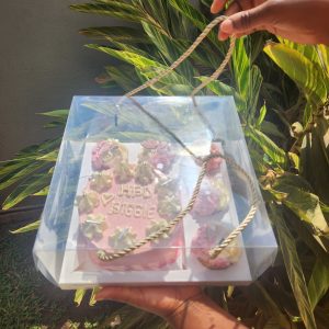 Bento cake package