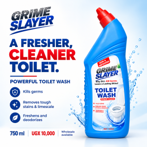 Toilet wash